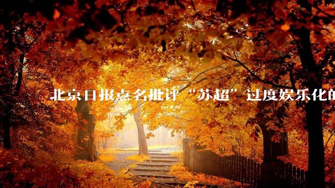 北京日报点名批评“苏超”过度娱乐化的动机是什么？