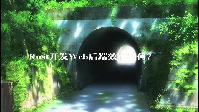Rust开发Web后端效率如何？