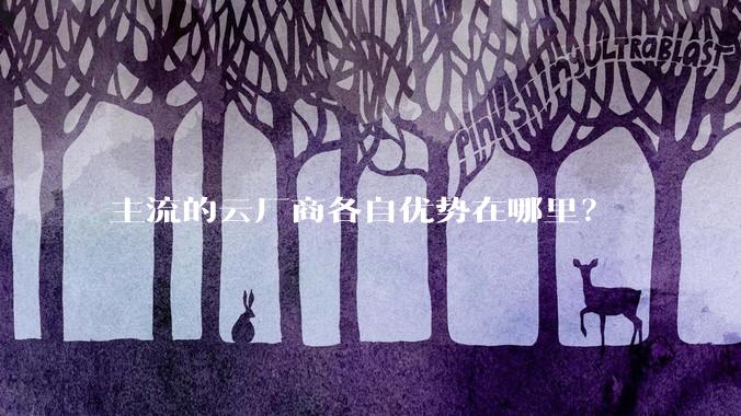 主流的云厂商各自优势在哪里？