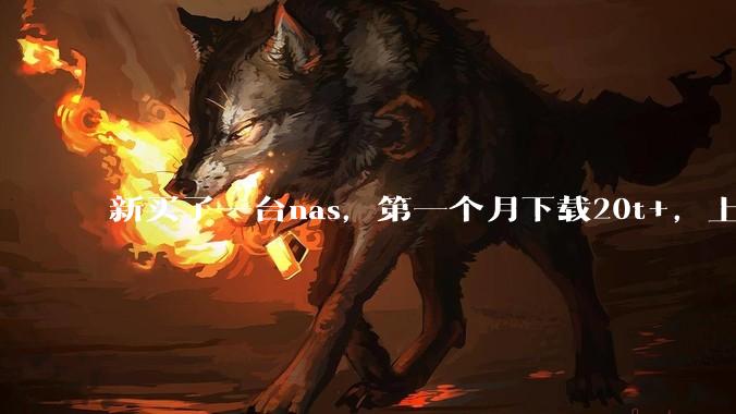 新买了一台nas，第一个月下载20t+，上传5+，不会被网警盯上吧?