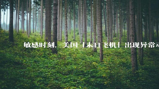 敏感时刻，美国「末日飞机」出现异常动向，出现在华盛顿附近，什么是「末日飞机」？这代表着什么？