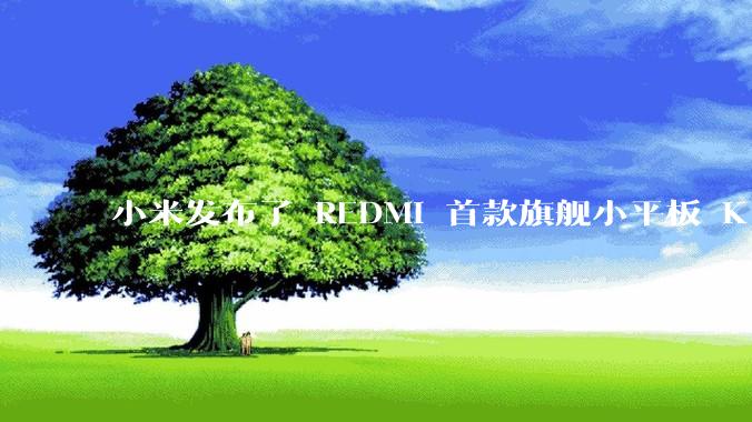 小米发布了 REDMI 首款旗舰小平板 K Pad，仅 8.8 英寸，小巧便携，如何评价这一设计？